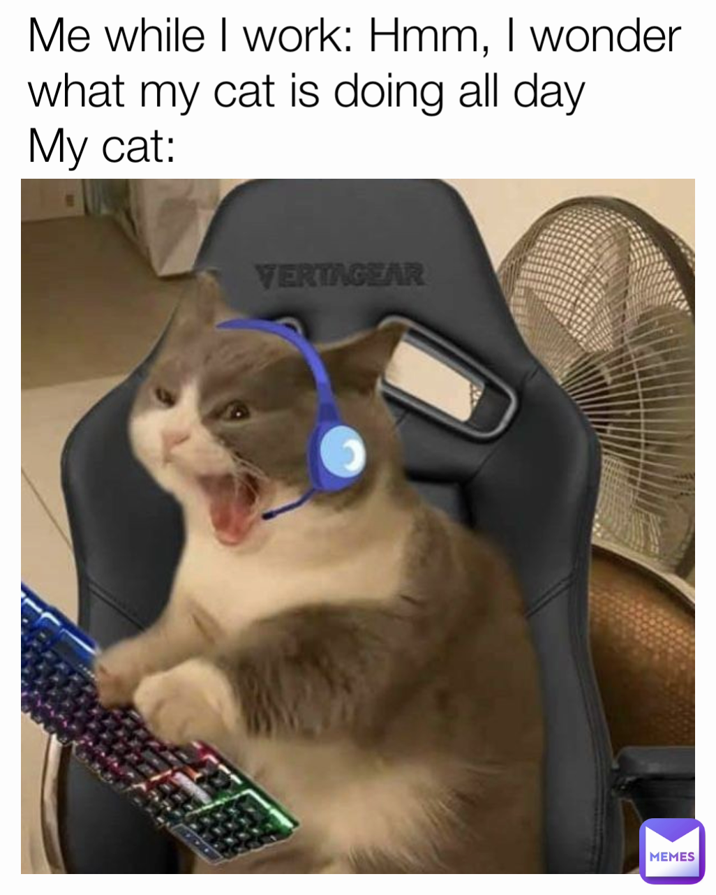 Meme by YourTherapistIsHere