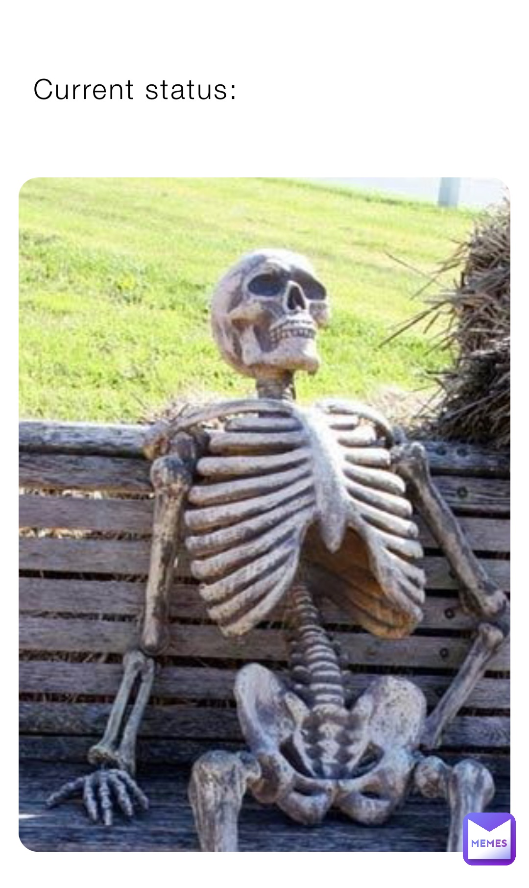 Meme by Zodiac_Illuminate