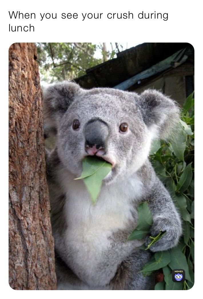 Meme by silvermastiff