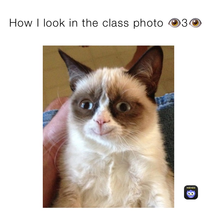 Meme by silvermastiff