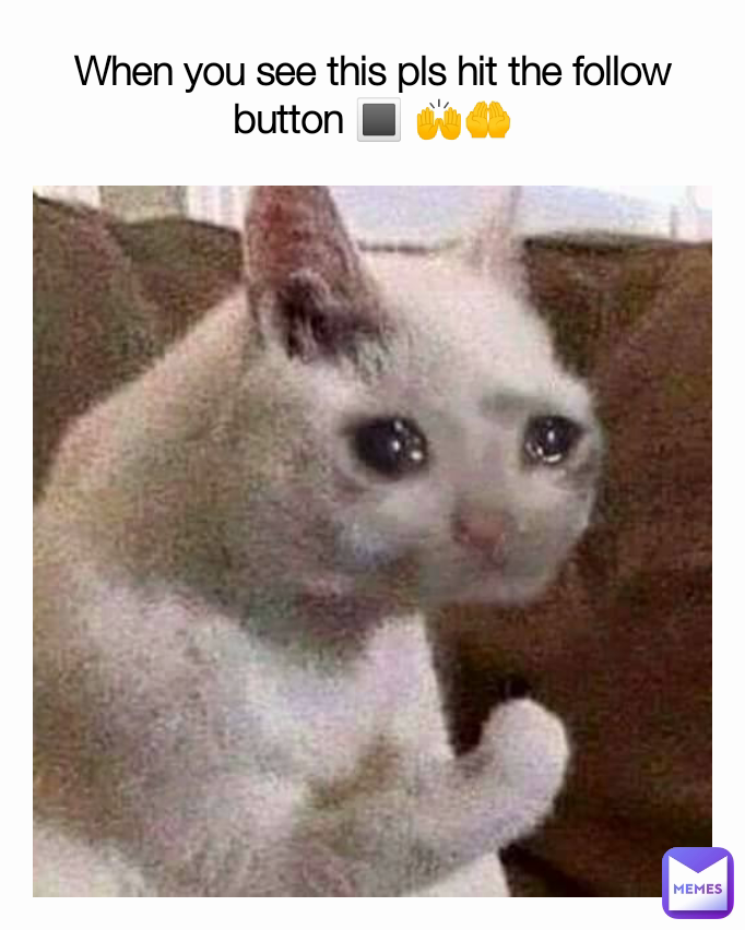 When you see this pls hit the follow button 🔳 🙌🤲