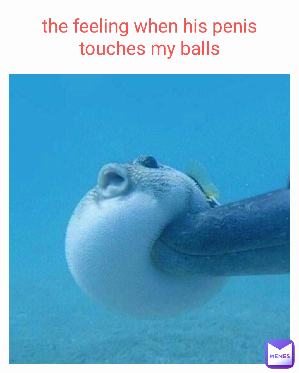 the feeling when his penis touches my balls