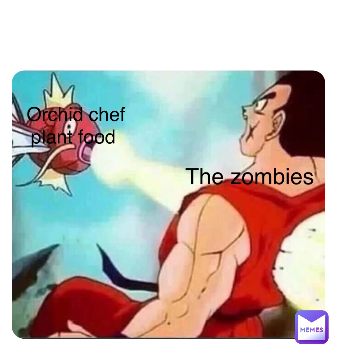 Orchid chef plant food The zombies