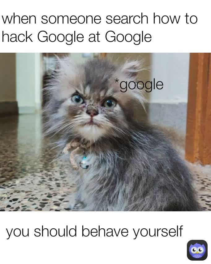 *google you should behave yourself when someone search how to hack Google at Google