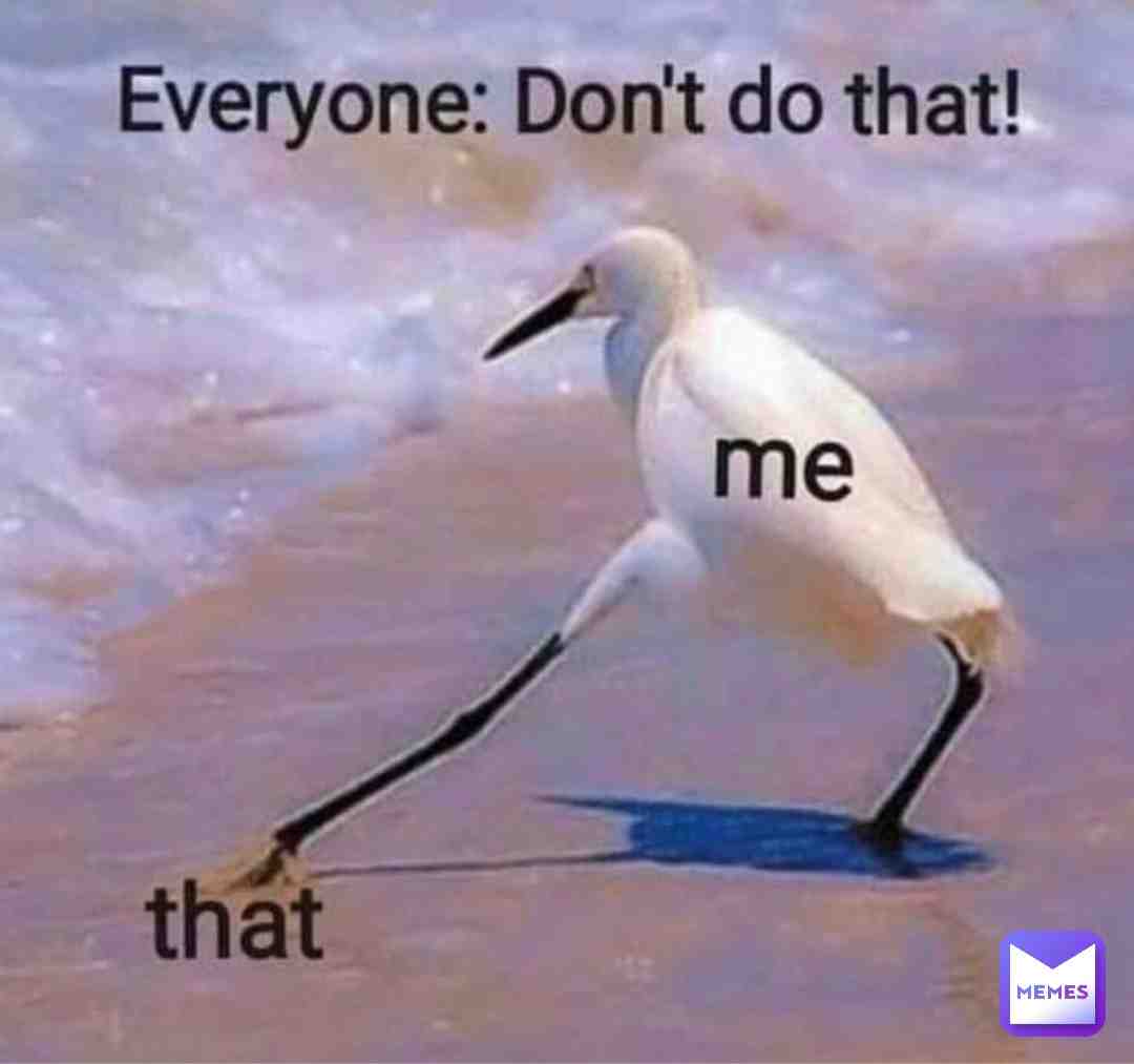 Meme shared by @laeleaguy