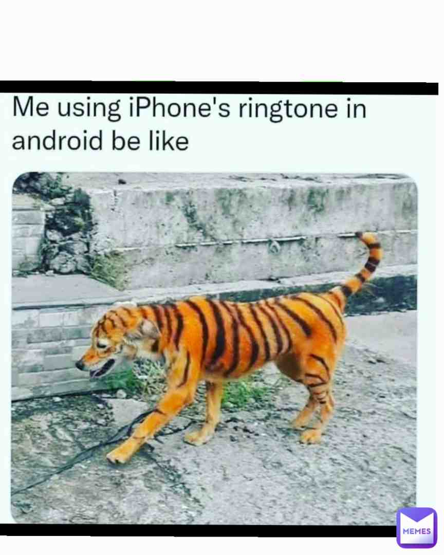 Meme shared by @laeleaguy