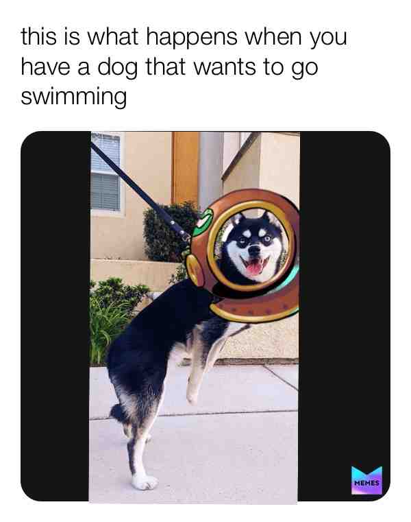 Lol