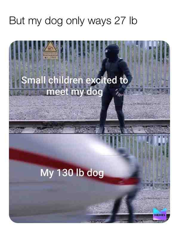 Hehe have u ever tried this comment if u have  #memes  #meme  #dankmemes  #funny  #memesdaily  #funnymemes  #lol  #dank  #follow  #humor  #like  #ol  #edgymemes  #lmao  #love  #offensivememes  #fortnite  #comedy  #anime  #dailymemes  #dankmeme  #instagram  #explorepage  #tiktok  #memestagram  #minecraft  #funnyvideos  #memesespa  #jokes  #bhfyp