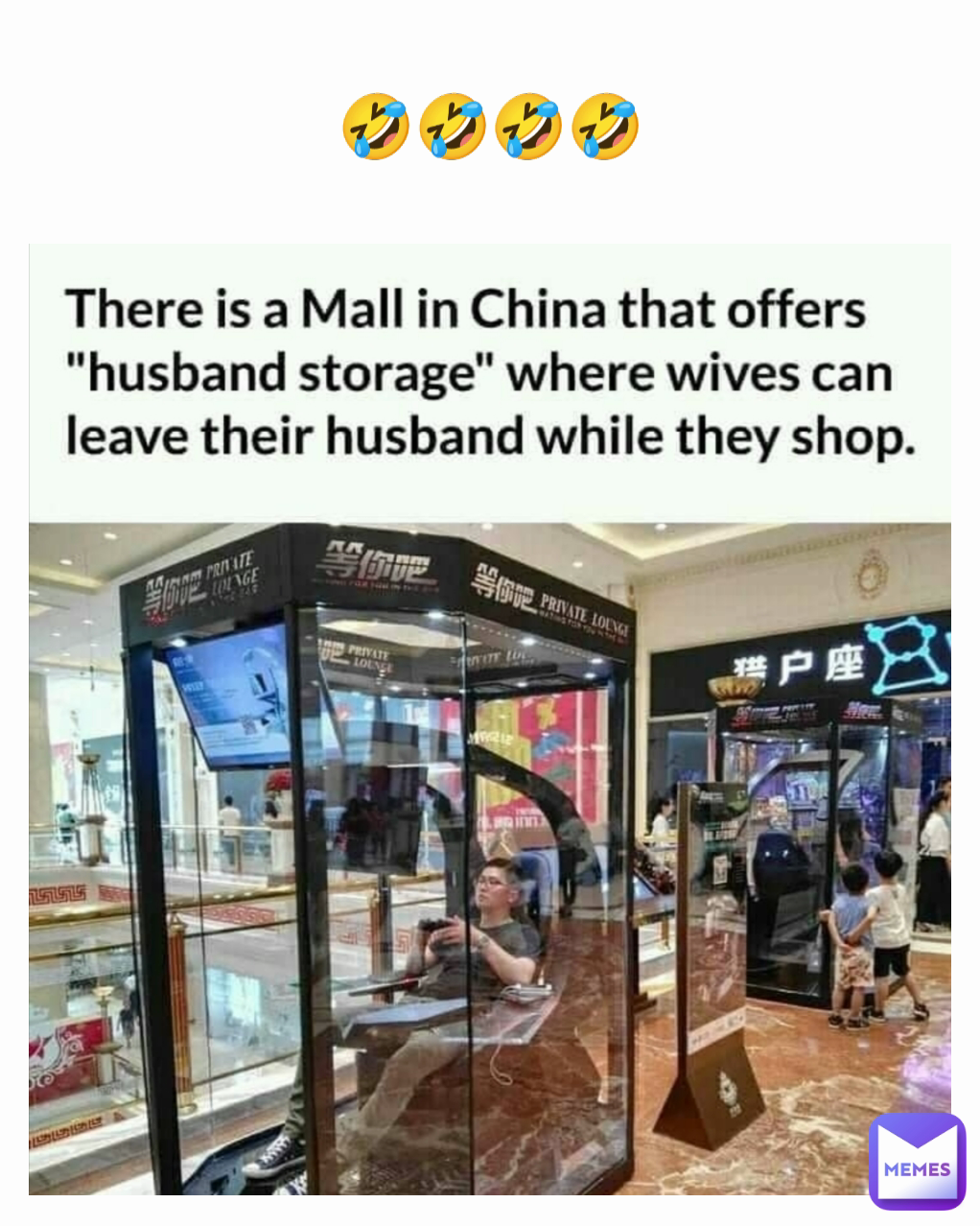 🤣🤣🤣🤣