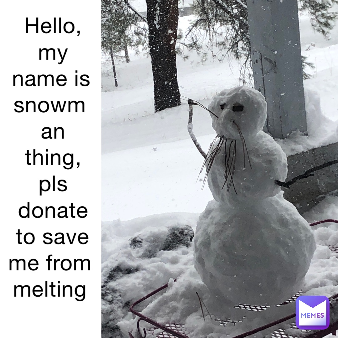 hello, my name is snowman thing, pls donate to save me from melting