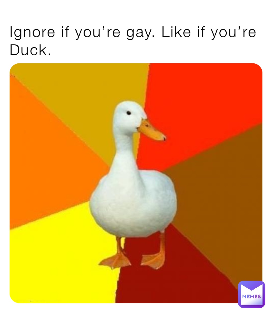 Ignore if you’re gay. Like if you’re Duck.