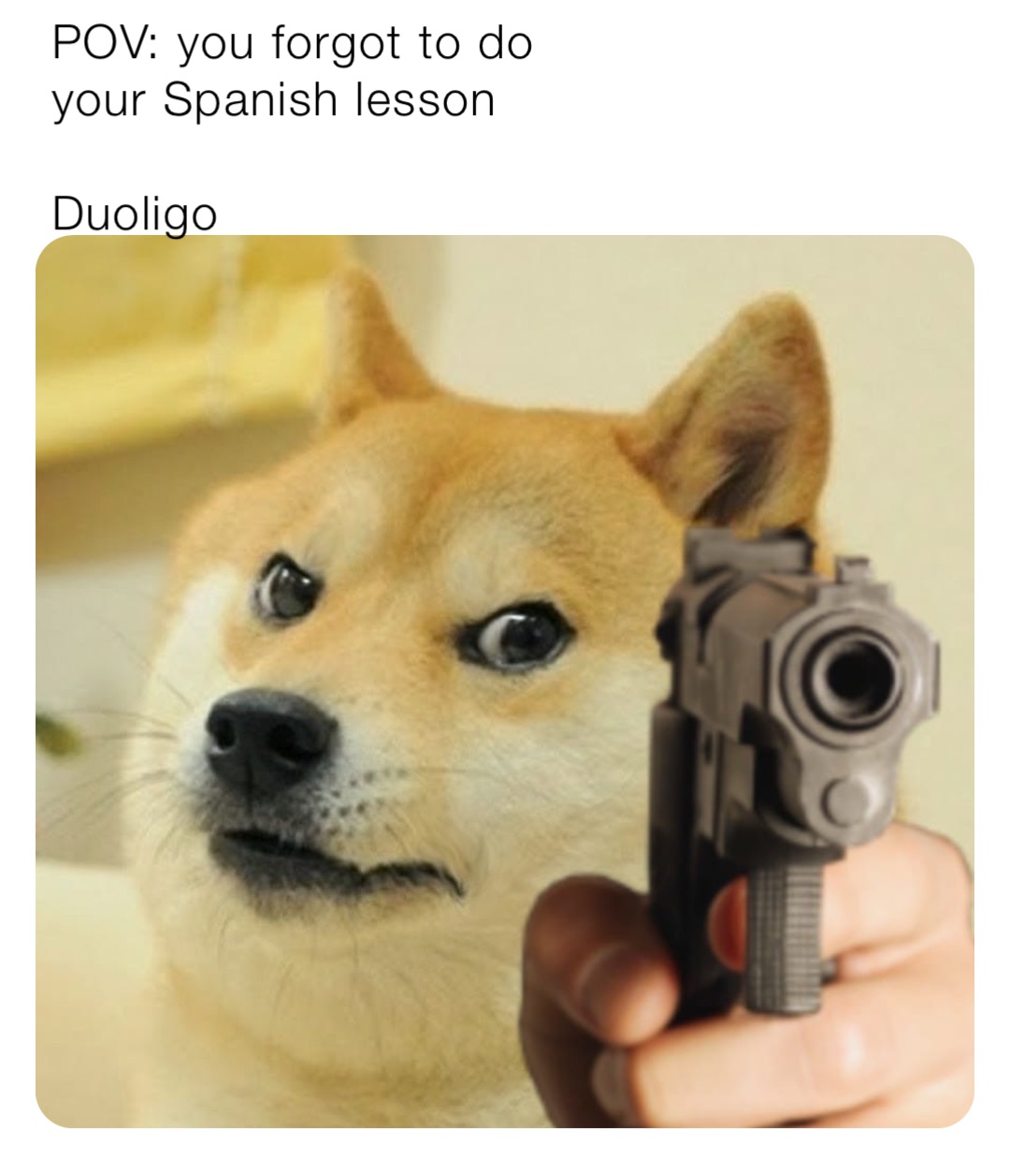 Meme by cat_king3471