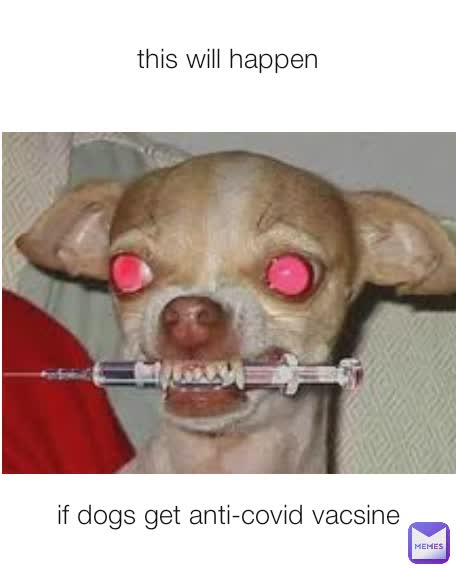 this will happen if dogs get anti-covid vacsine