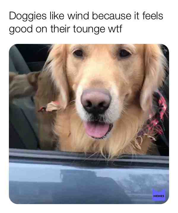 Comment your funniest memes