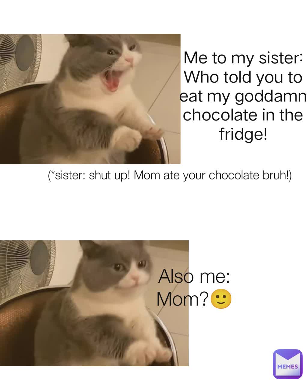 Me:
 Me to my sister: Who told you to eat my goddamn chocolate in the fridge! (*sister: shut up! Mom ate your chocolate bruh!) Also me: Mom?🙂