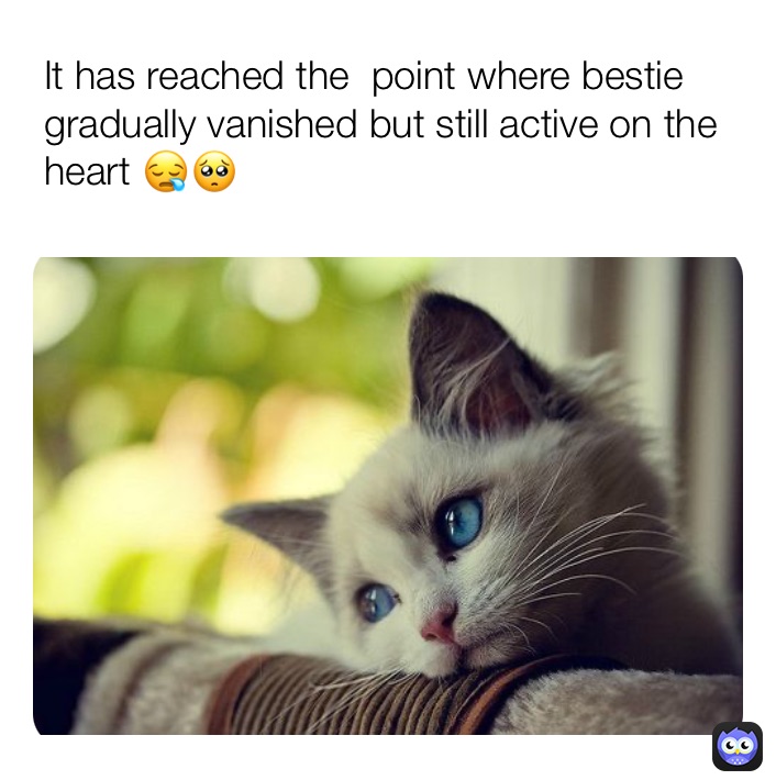 Meme by Sydneyhates_you