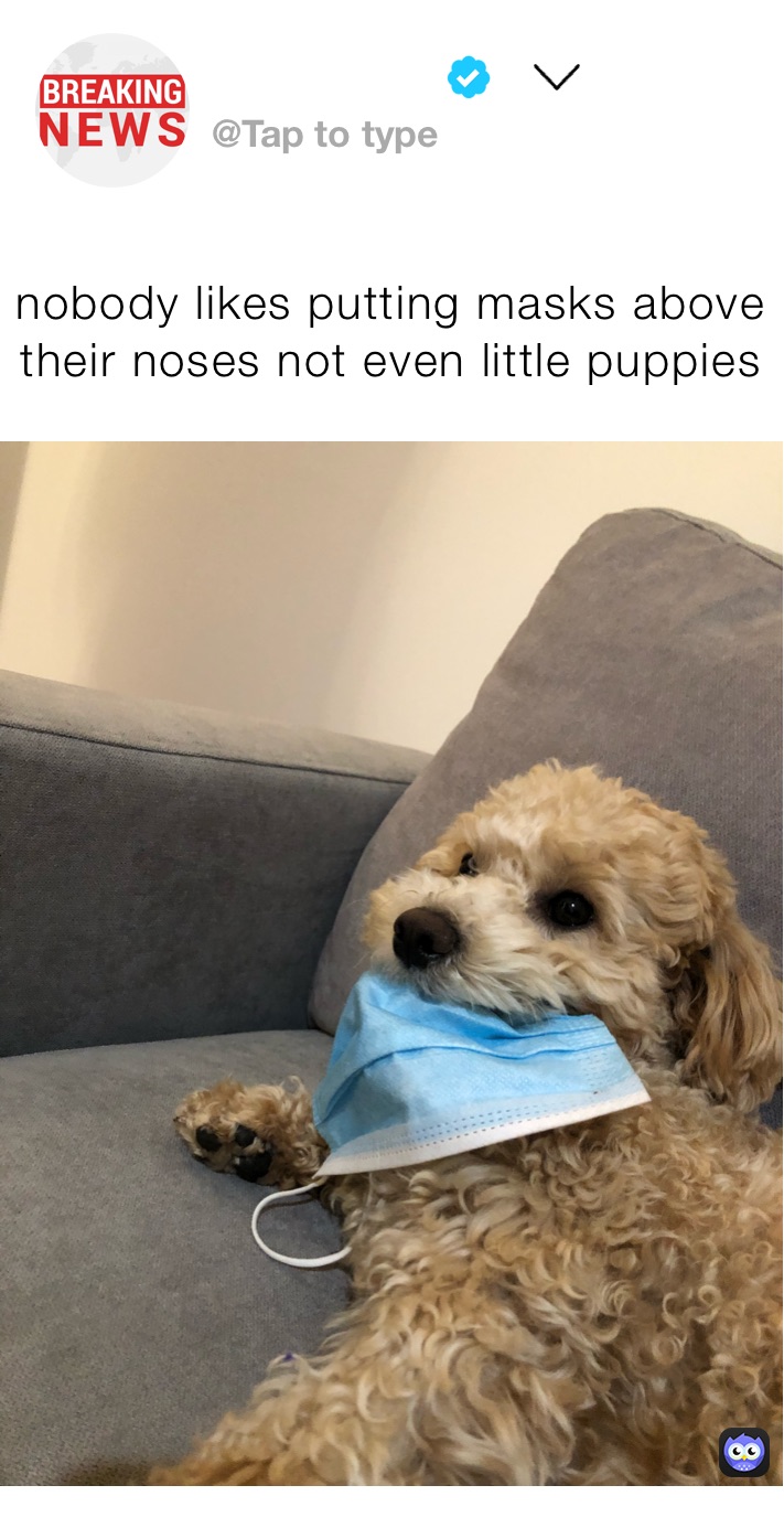 Meme by LoveYourselfAlways