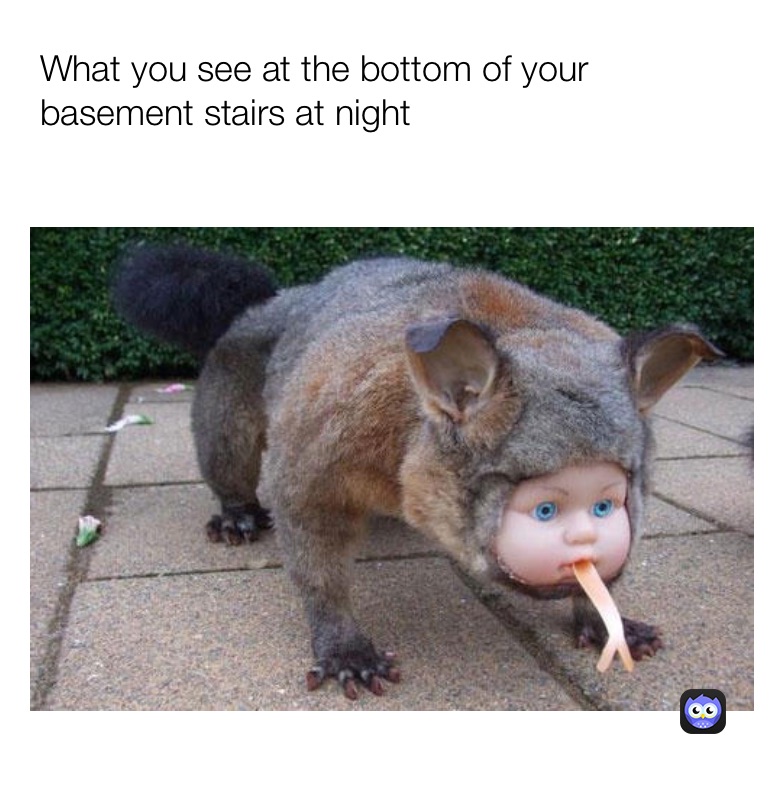 Meme by brayden-vanderpoel_1609392906