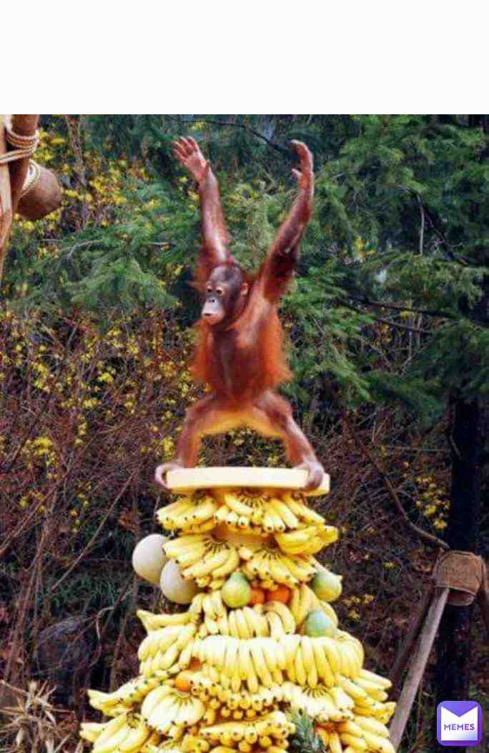 GO BANANAS ON YOUR BIRTHDAY