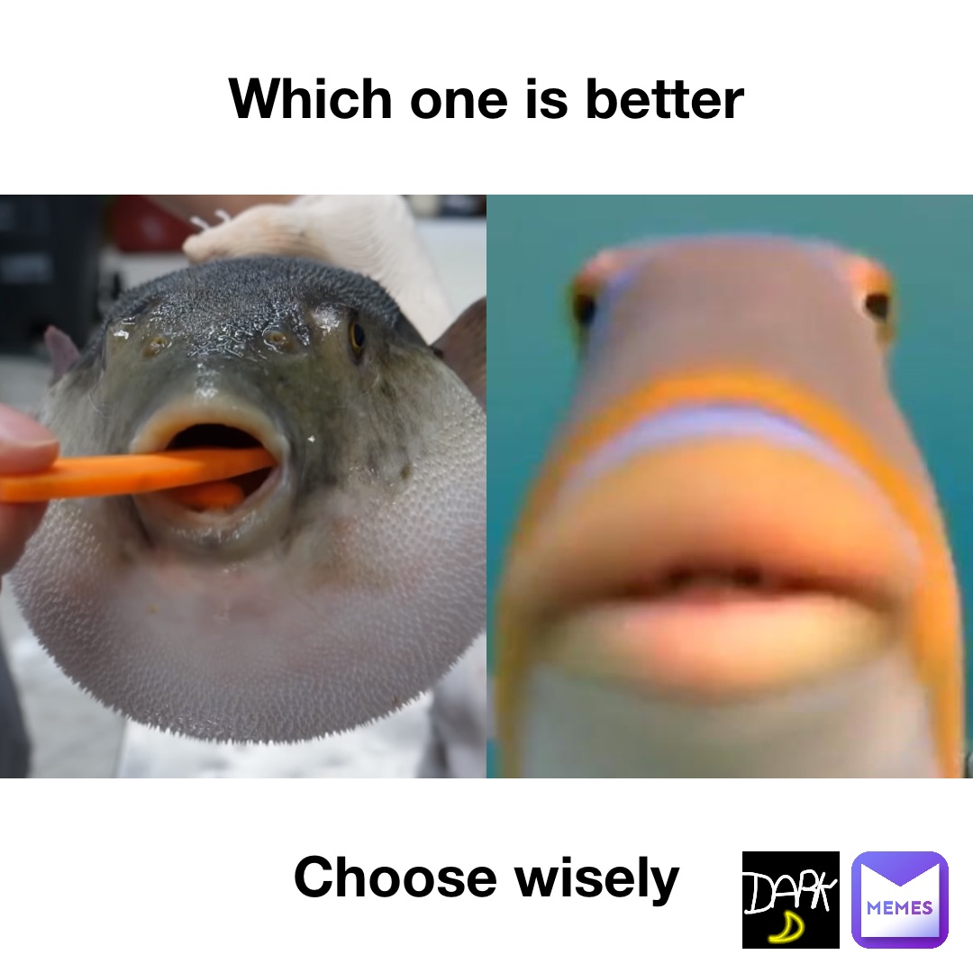 Which one is better Choose wisely