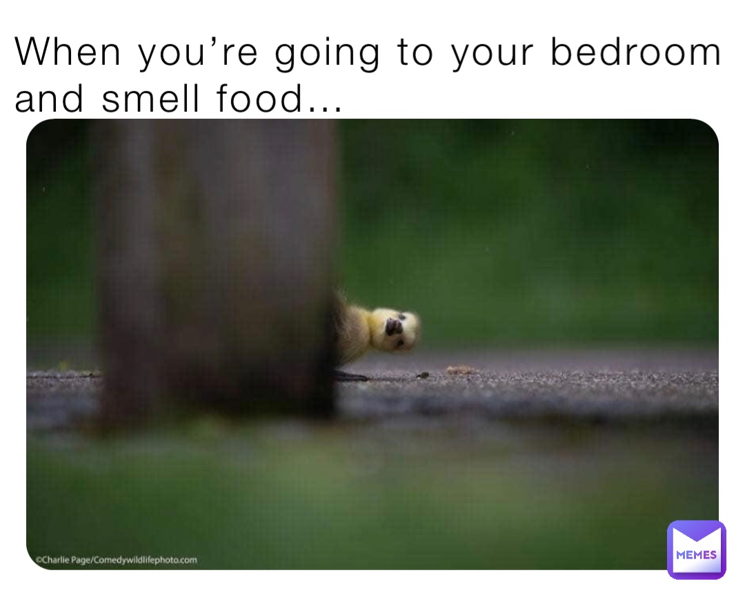 When you’re going to your bedroom and smell food…