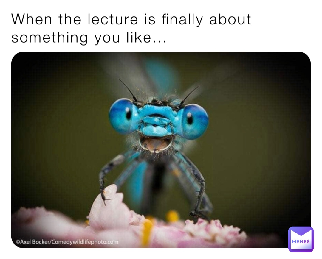 When the lecture is finally about something you like…