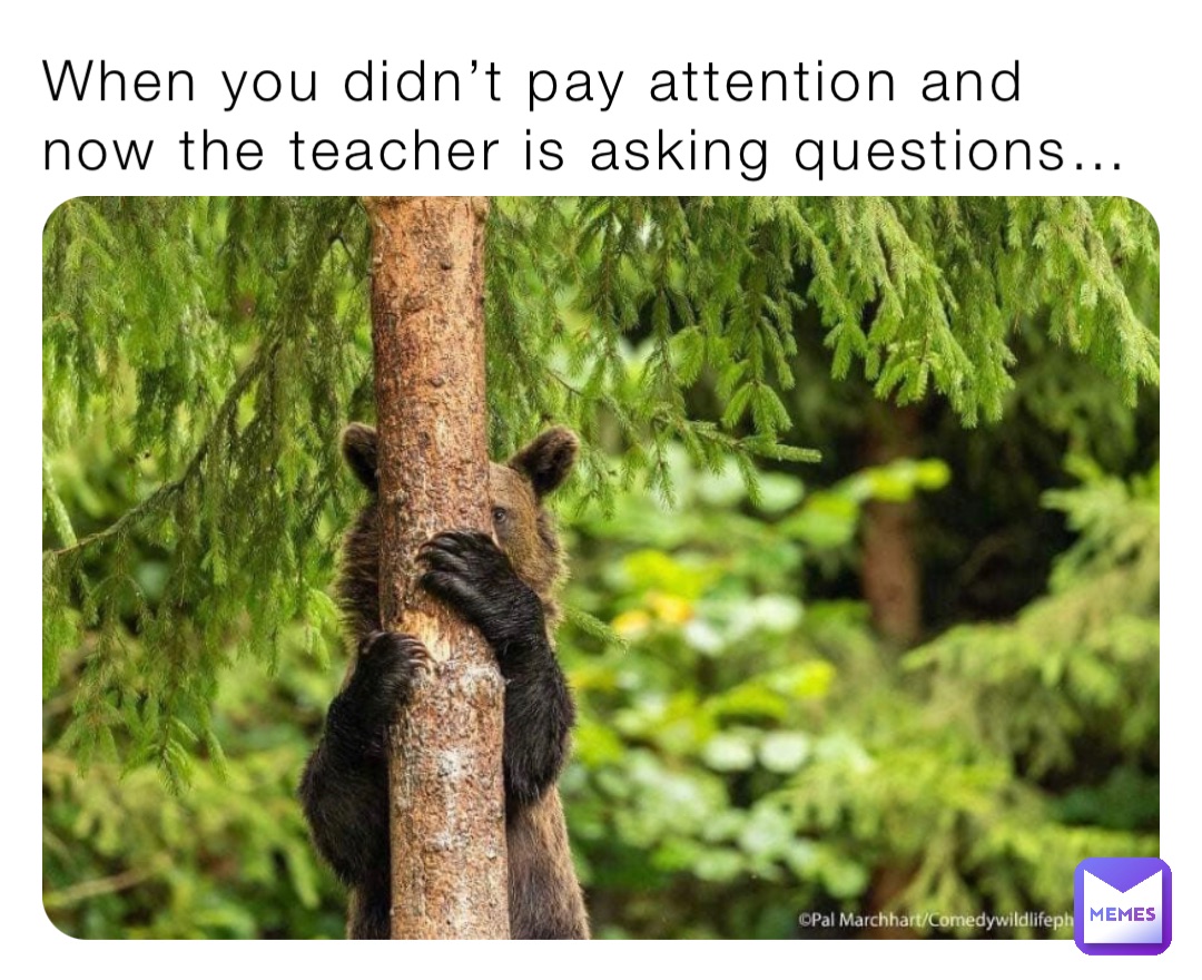 When you didn’t pay attention and now the teacher is asking questions…