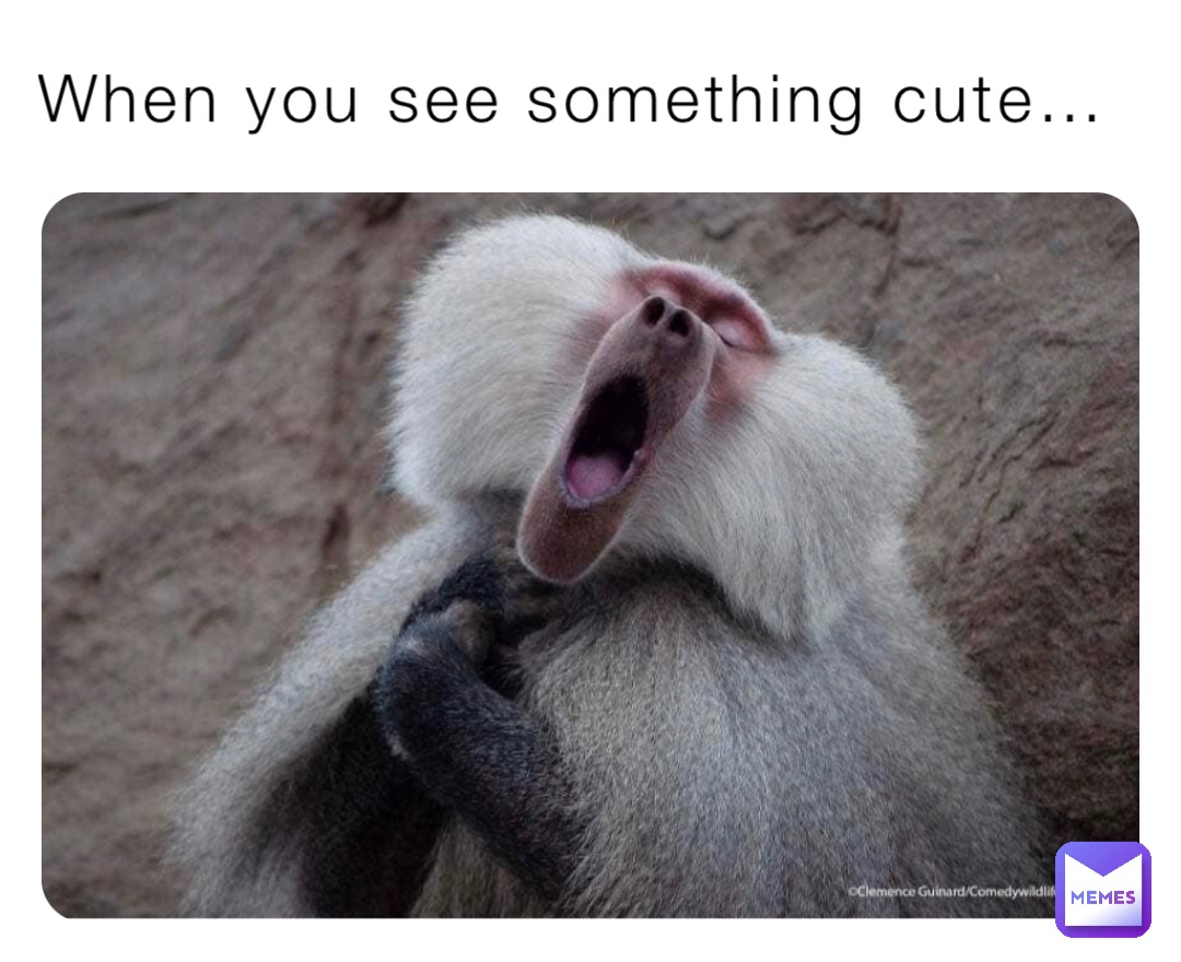 When you see something cute…