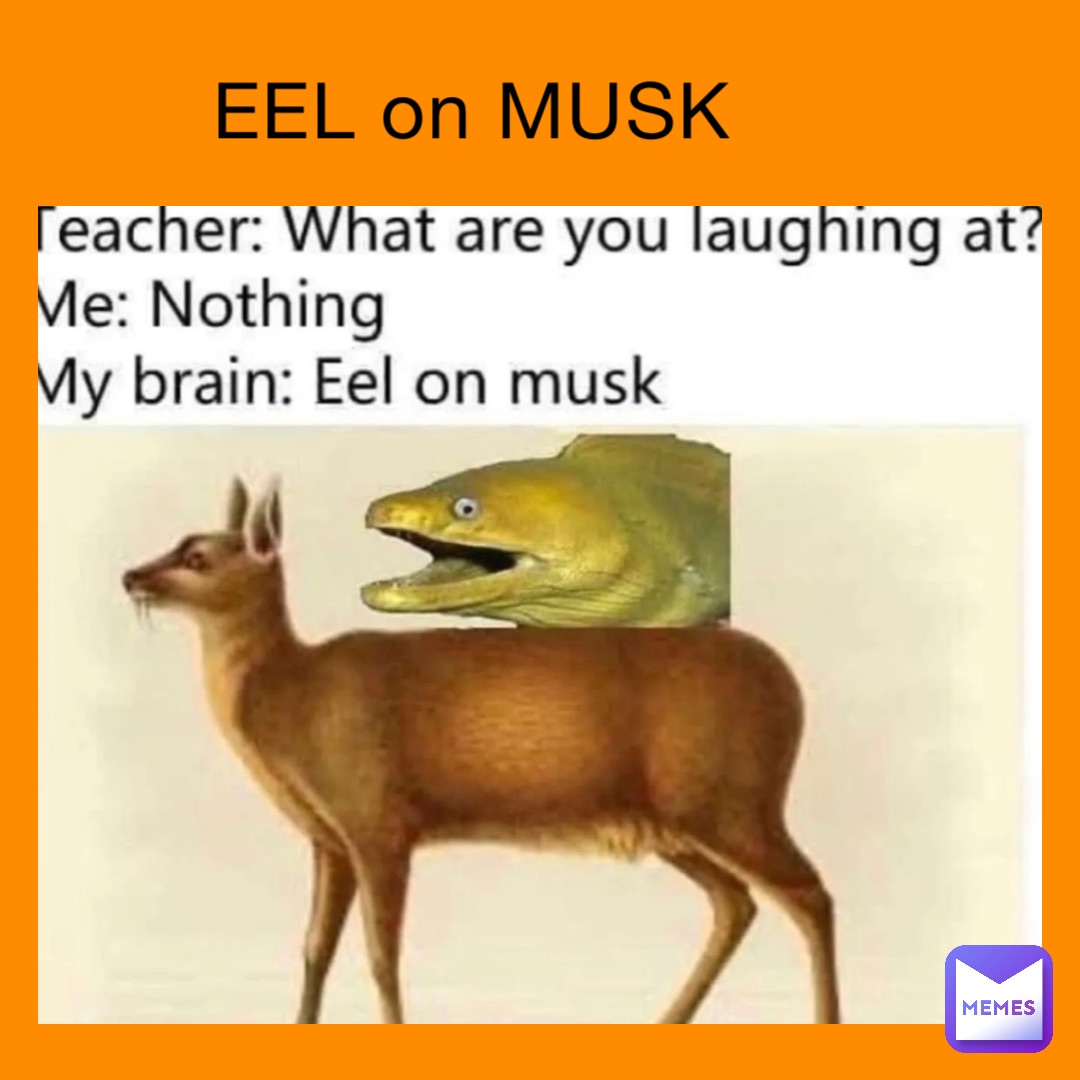 EEL on MUSK