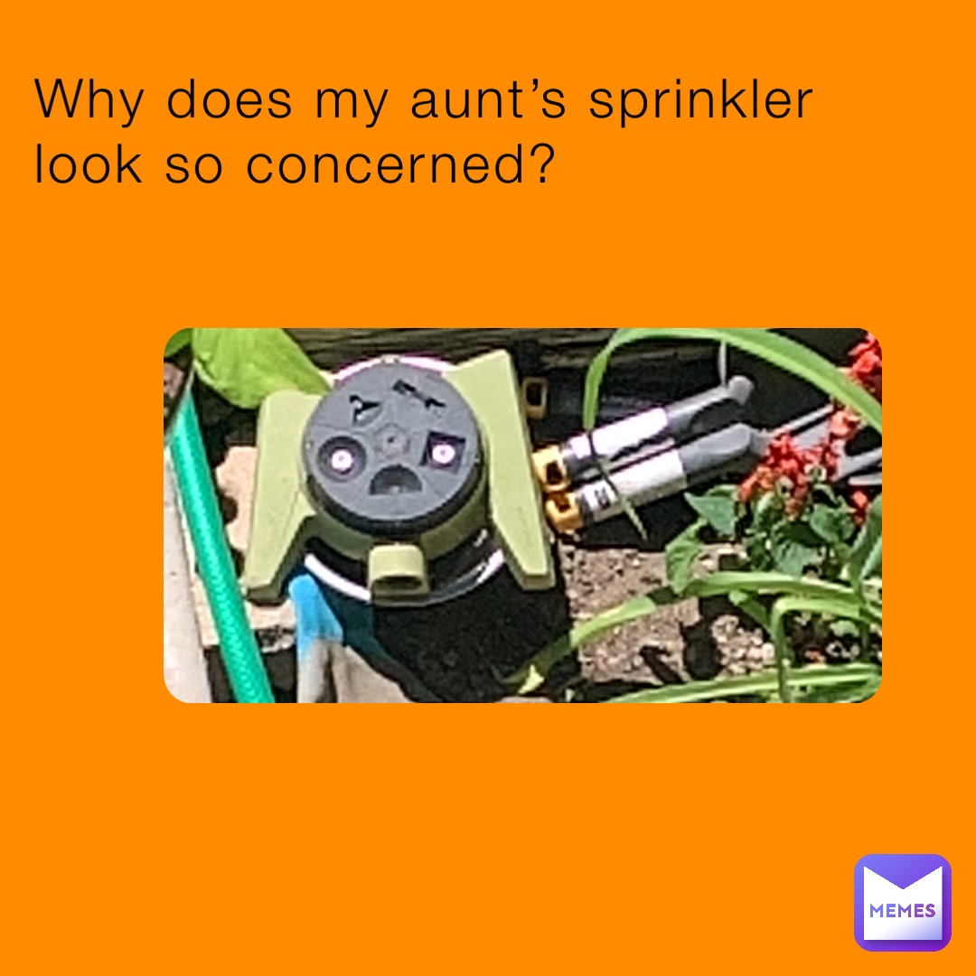 why-does-my-aunt-s-sprinkler-look-so-concerned-thatmemernamedbeck