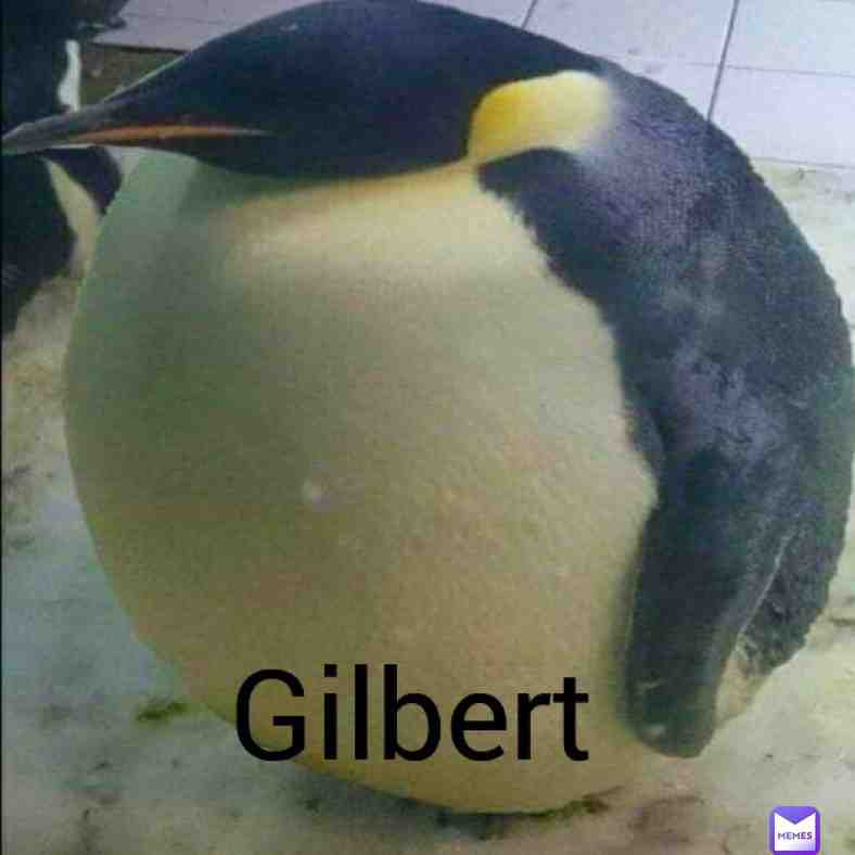 Gilbert