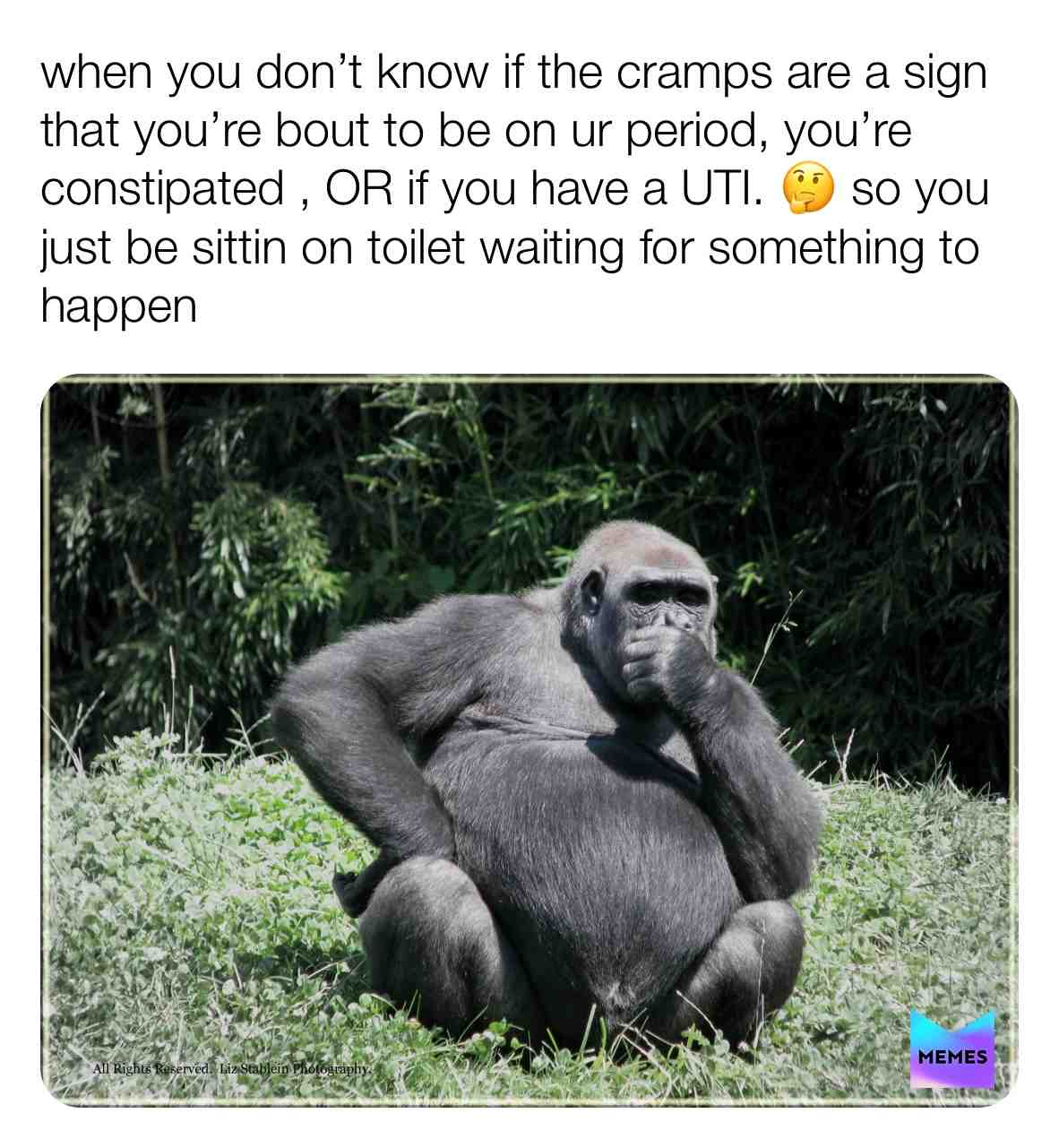 Meme shared by @meme_daddy101