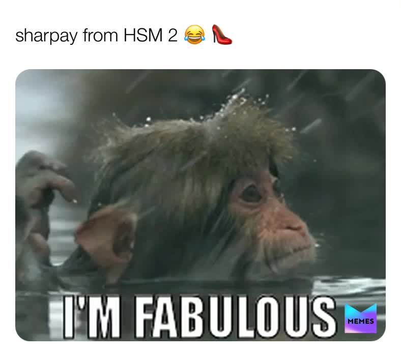 Meme shared by @meme_daddy101