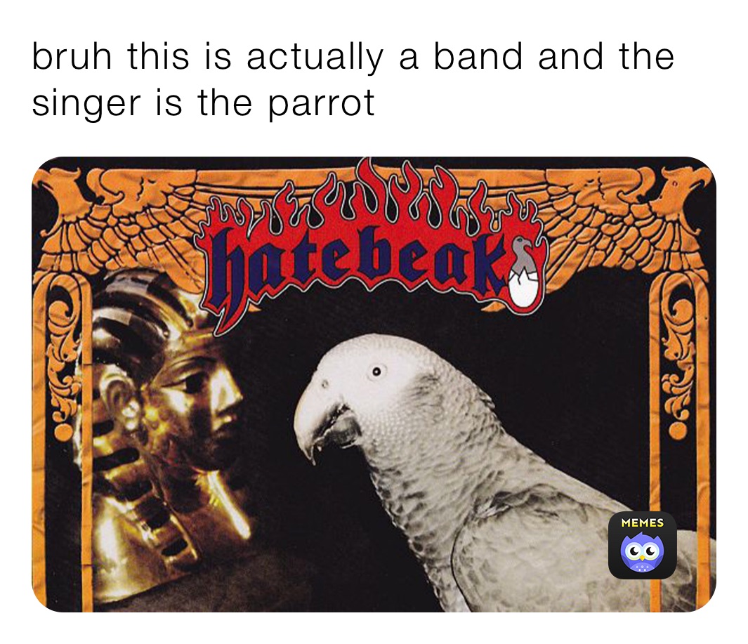 bruh this is actually a band and the singer is the parrot