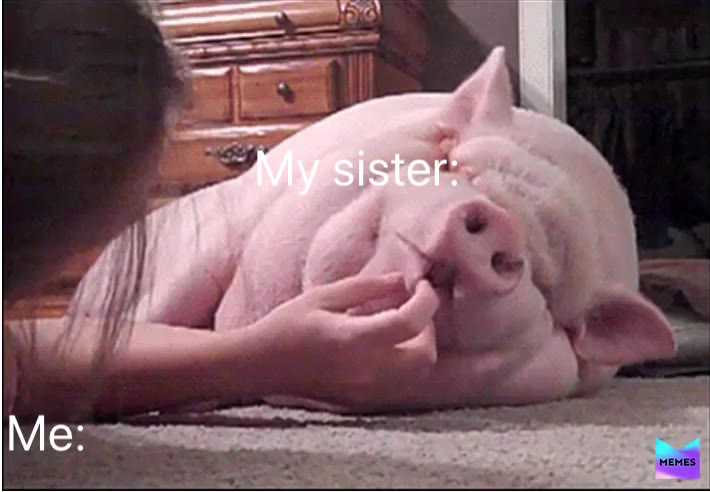 Meme shared by @sehy223