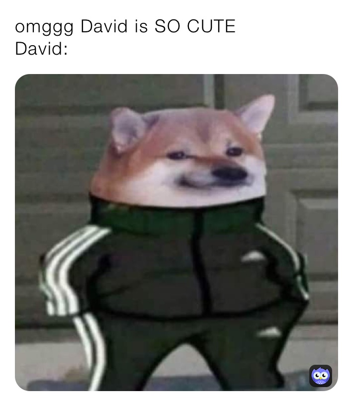 omggg David is SO CUTE 
David: