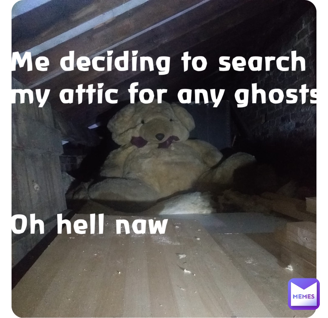 Me deciding to search my attic for any ghosts



Oh hell naw