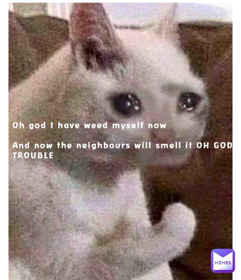 #Cat #Wee #Trouble #Neighbours