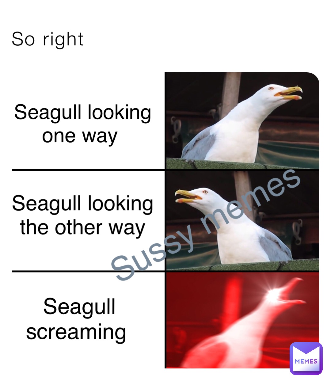 So right Seagull looking 
one way Seagull looking
the other way Seagull 
screaming