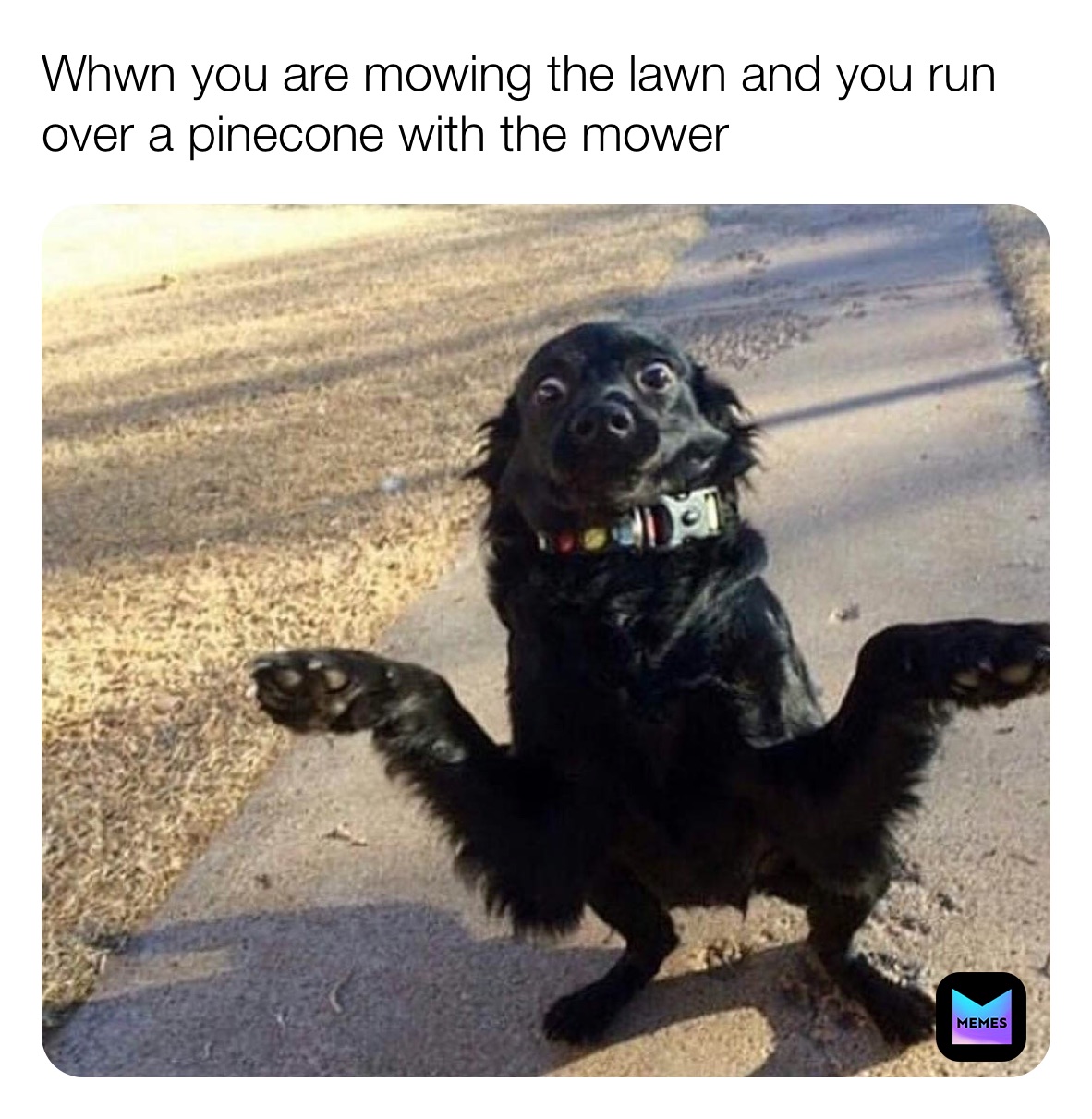 Meme by louis_vuitton