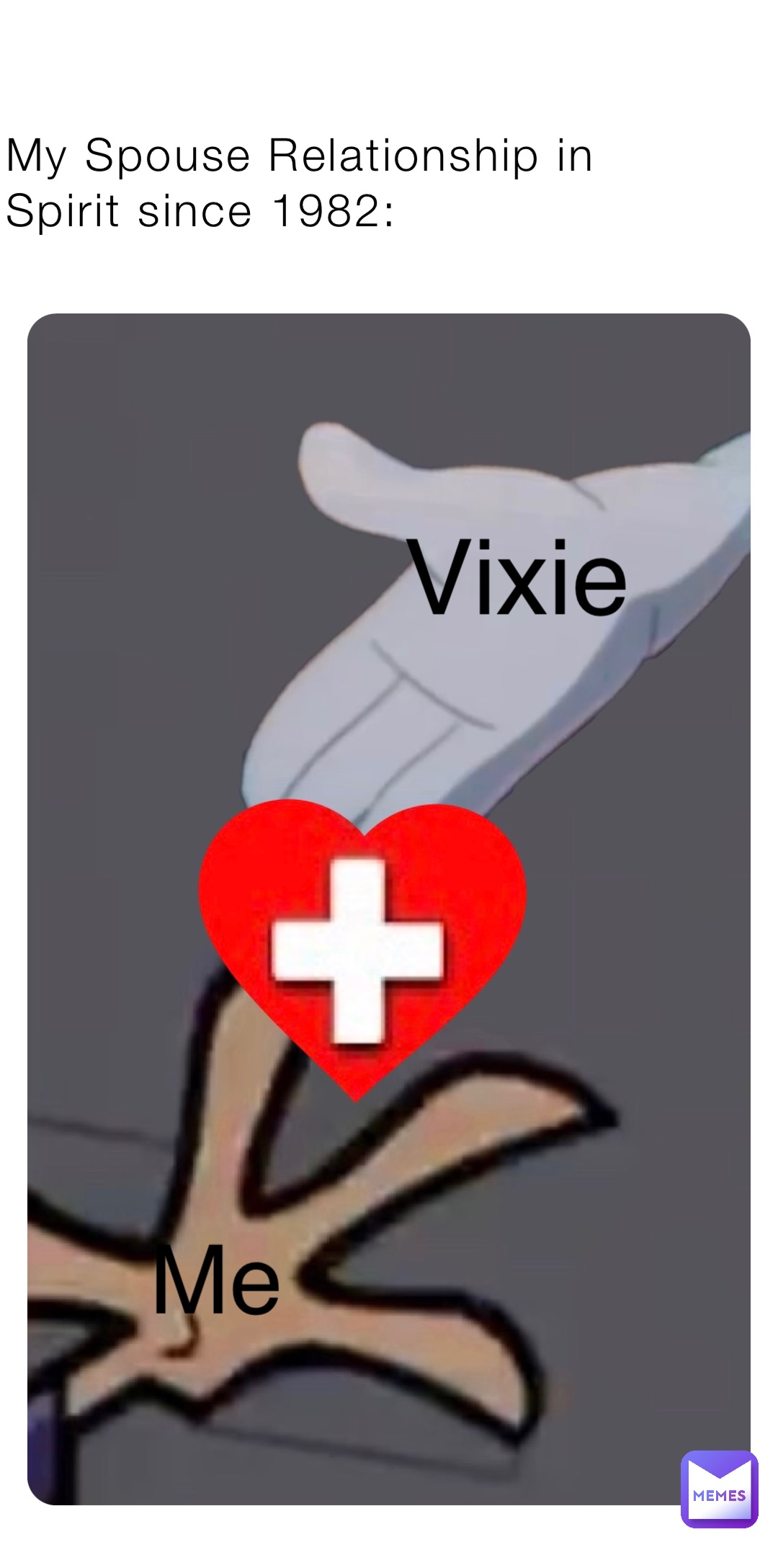 my-spouse-relationship-in-spirit-since-1982-me-vixie-a113gr-memes