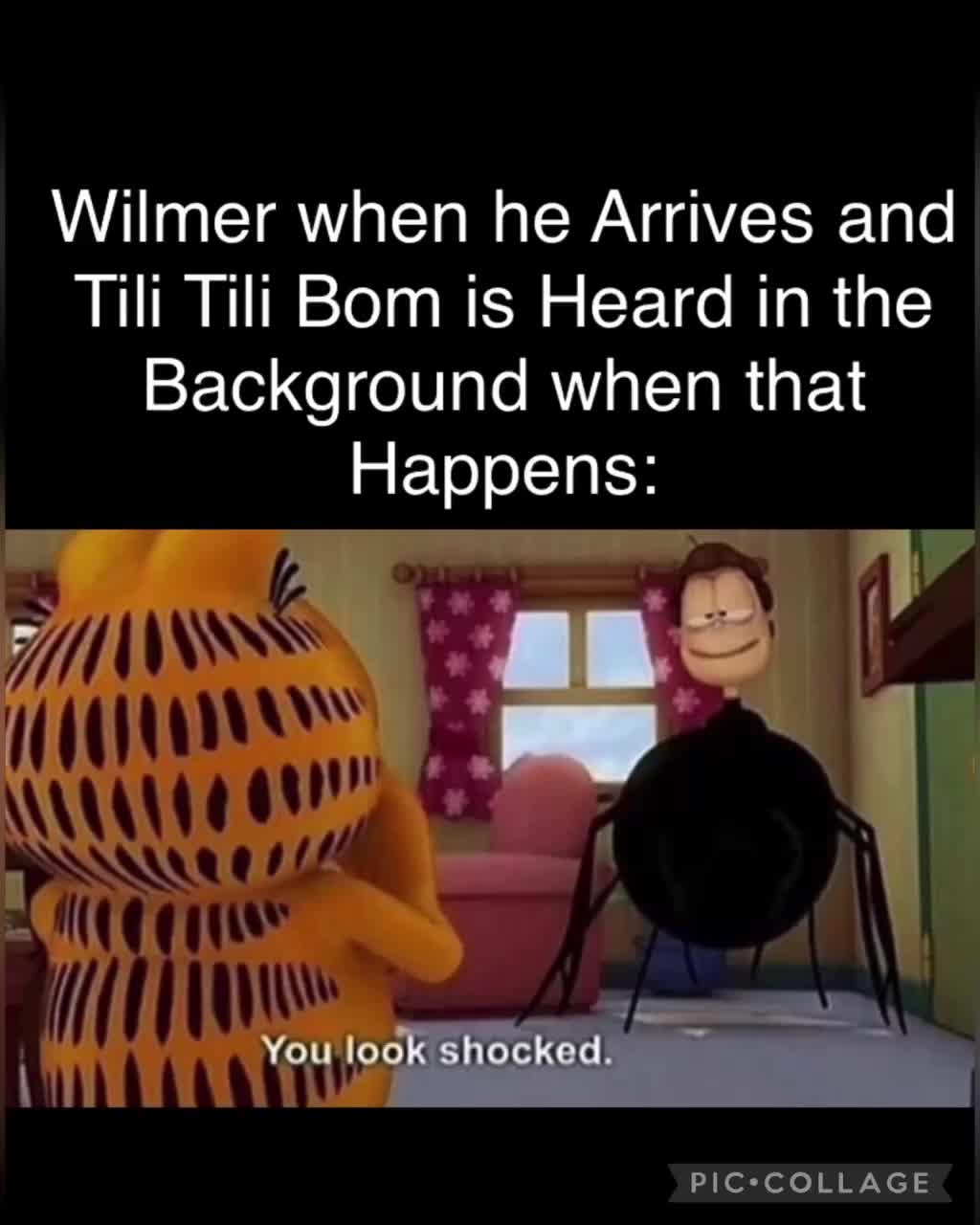 Post By A113gr Memes