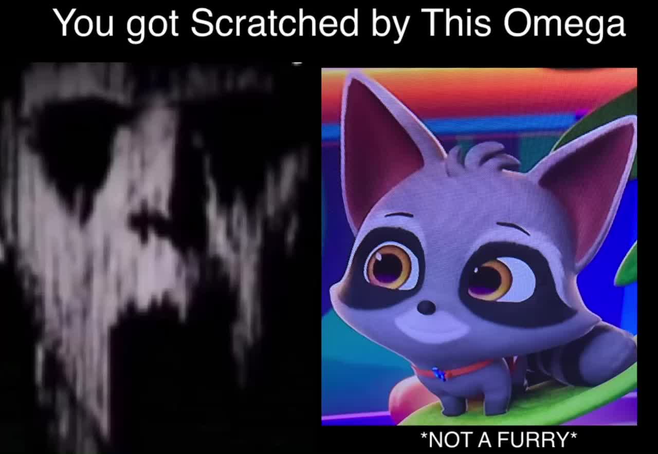 Post By A113gr Memes