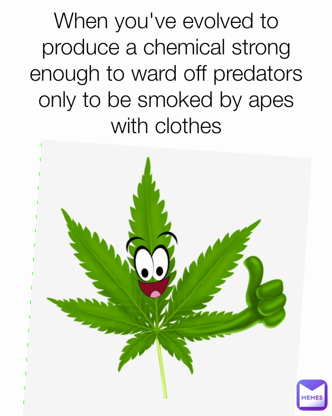 Meme by christianhughes96