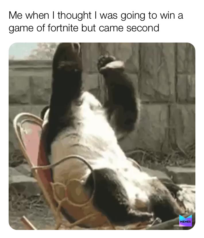 Meme shared by @leoslayerr123