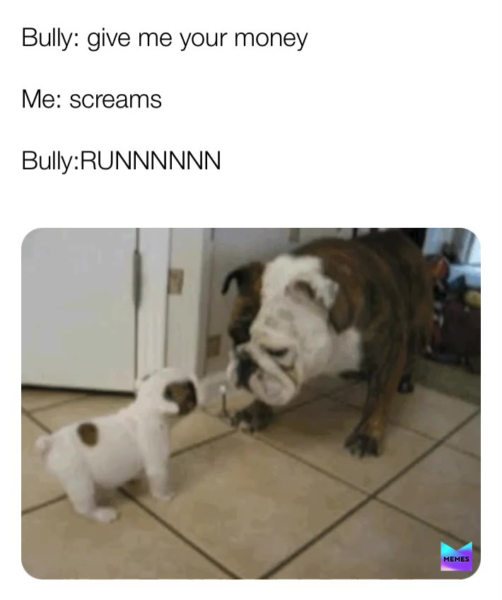 #bullying  #dogs  #memes pls look at other memes