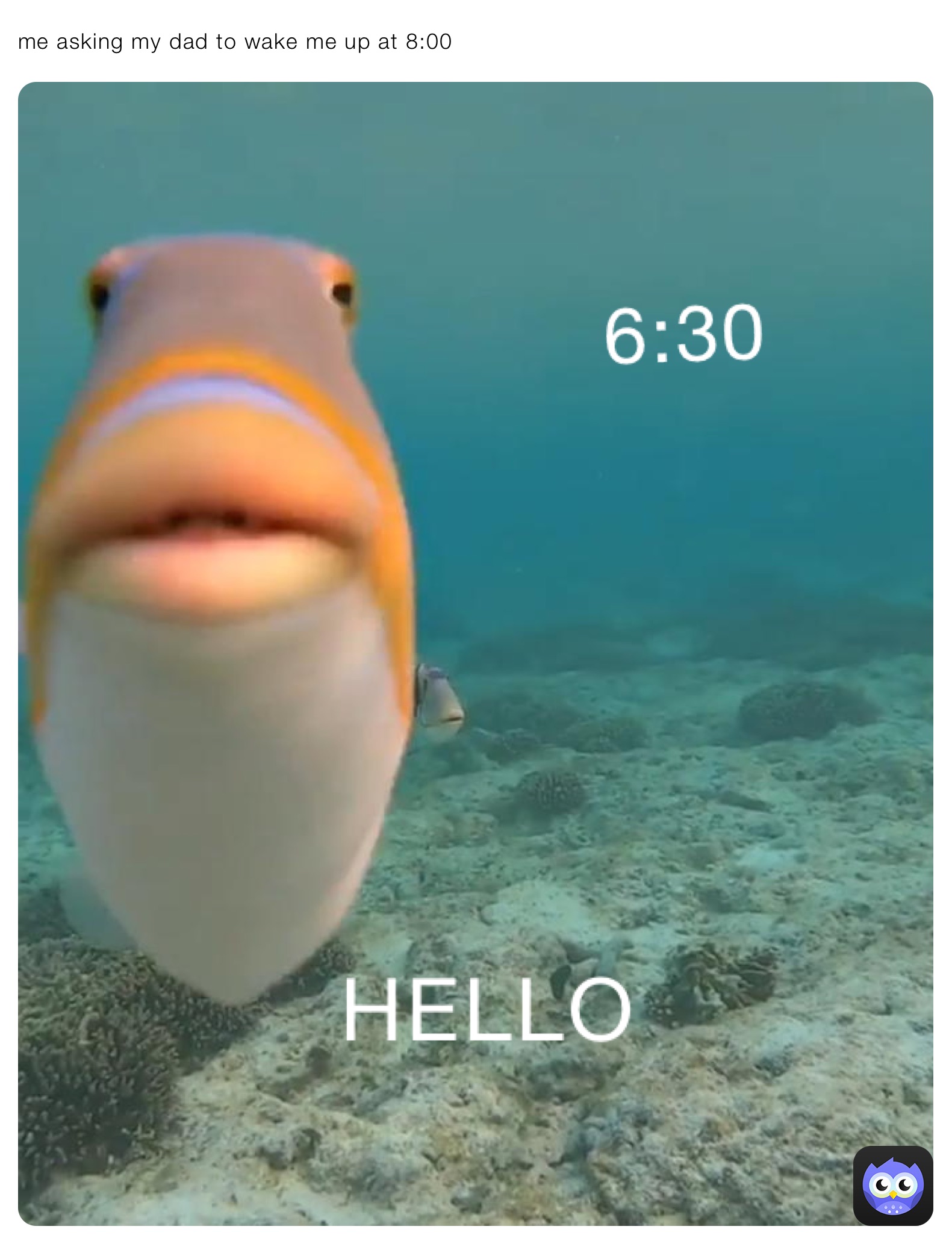 me asking my dad to wake me up at 8:00
