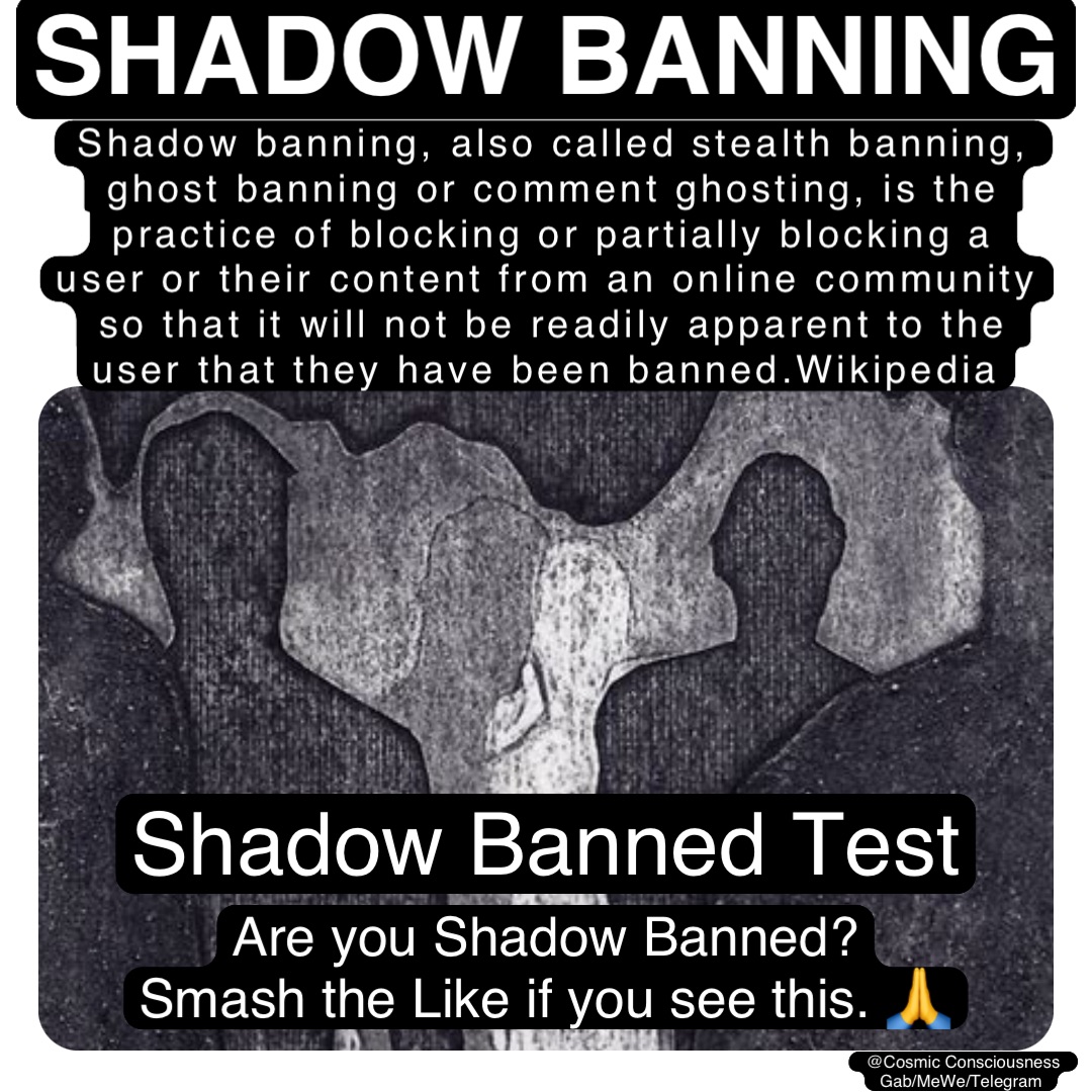 Shadow banning, also called stealth banning, ghost banning or comment ghosting, is the practice of blocking or partially blocking a user or their content from an online community so that it will not be readily apparent to the user that they have been banned.Wikipedia Shadow banning @Cosmic Consciousness 
Gab/MeWe/Telegram Are you Shadow Banned?
Smash the Like if you see this. 🙏 Shadow Banned Test