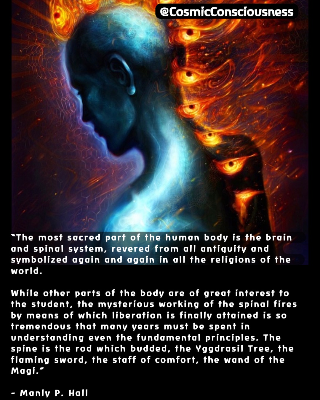 “The most sacred part of the human body is the brain and spinal system, revered from all antiquity and symbolized again and again in all the religions of the world. 

While other parts of the body are of great interest to the student, the mysterious working of the spinal fires by means of which liberation is finally attained is so tremendous that many years must be spent in understanding even the fundamental principles. The spine is the rod which budded, the Yggdrasil Tree, the flaming sword, the staff of comfort, the wand of the Magi.”

- Manly P. Hall @CosmicConsciousness