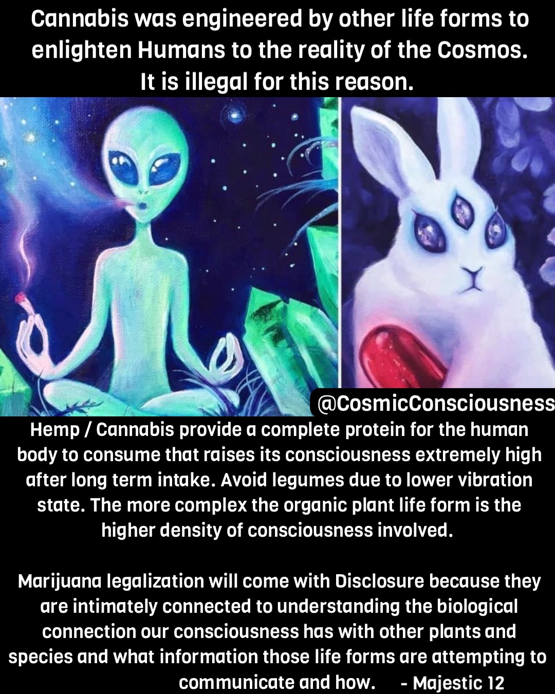 Meme by derekzane1981